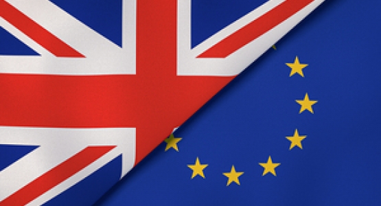 s300_Brexit1.jpg